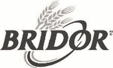Bridor